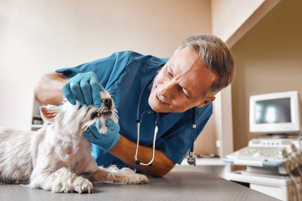 Best 24-Hour Emergency Dental Care in Lockhart, FL